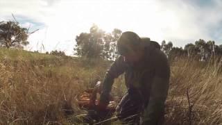 Mushroom Foraging Victoria Australia