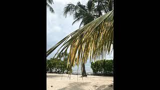 house for sale in Zanzibar two bedrooms two bathrooms living room ️+201226994422 WhatsApp