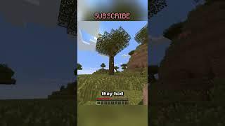 i found the most cursed thing in minecraft