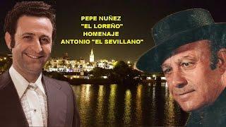 PEPE NUÑEZ -  EL LOREÑO -  HOMENAJE-A ANTONIO"EL SEVILLANO"-RAFAEL HIDALGO ROMERO