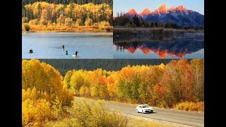 大提顿公园最美的季节 | Grand Teton 秋季拍照指南 | 美国旅行