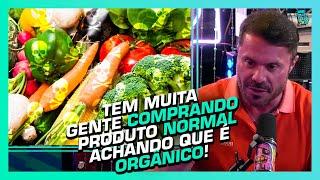 COMO DIFERENCIAR UM ALIMENTO ORGÂNICO DE UM NORMAL? - JULIO BALESTRIN, PAULO MUZY E RENATO CARIANI