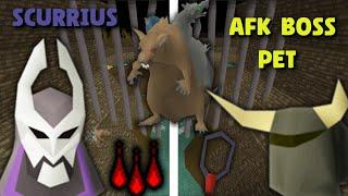 How to Completely AFK The Easiest Boss Pet in Runescape! (Scurrius)