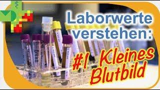 Laborwerte verstehen: #1 Kleines Blutbild