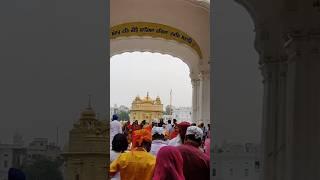 Golden Temple Langar | Biggest Kitchen at India | Waheguru ji #shorts #shortvideo #langar