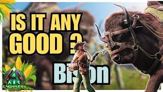 Bison - FULL GUIDE Spawn, Tame & Abilities - EVERYTHING You Need To Know | Ark Survival Ascended