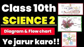 Science 2 Most IMP Diagram & Flow Chart Board Exam 2025 | sd tech | Class 10th Science 2 IMP Diagram