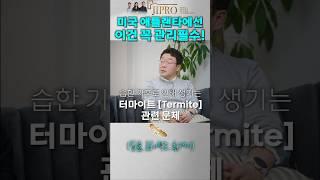 미국 조지아 주에선 주기적으로 꼭 관리해줘야 하는 이것!