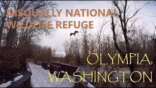 Exploring Nisqually National Wildlife Refuge in Olympia, Washington