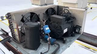 Walk-In Freezer Refrigerant Leak! But where is it at!? #refrigeration #hvacr #repair