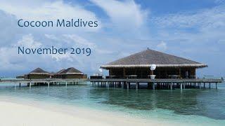 Cocoon Maldives November 2019