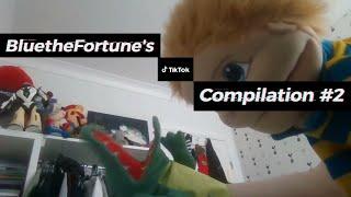 BUSTIN' IN FOR MORE - BluetheFortune's TikTok Compilation #2