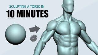 Sculpting a Torso using ZBrush in 10 minutes