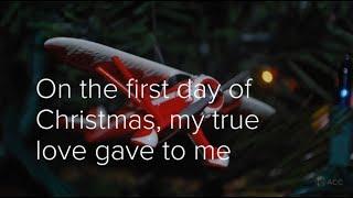 12 Days of Christmas - On the first day...