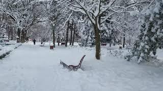 Parcul Monument Braila, iarna prin zapada (29.01.2023)