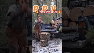 Tasmanian Axe Working. #friends #wood #attitude #shorts