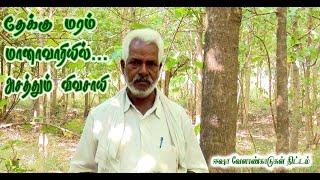 மானவரியில் தேக்கு மரம் , அசத்தும் விவசாயி