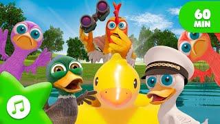 [  ] 5 Little Ducks  | Quacky Kids Songs | Zenon The Farmer