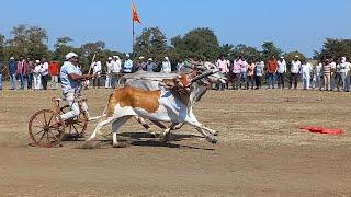 बैलगाडीदौड नीमगांव। प्रथम राउंड के सभी विङियो।oxrace। neemgaon race।bailagda shryat neemgaon।