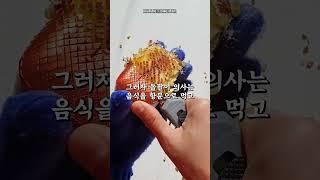 예의없는 광수