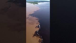 Amazon River - South America