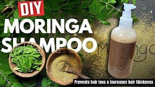 Superfood Moringa | Homemade Moringa Hair Growth Shampoo - Must Try | Sushmita's Diaries