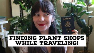 How to Find Plant Shops While Traveling | Plants on Vacation