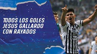 Todos los goles de Jesus Gallardo en Rayados