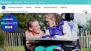 Delaware Disability Hub Homepage Guide