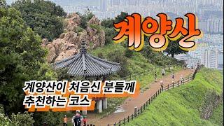 인천 계양산 / 계양산을 처음 오르시는 분들께 추천하는 코스 / 초보 등산인 분들에게 추천 / 가성비 최고 #초보등산 #계양산 #추천코스