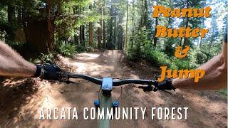 Peanut Butter & Jump Trails in Arcata Community Forest