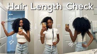 Natural Hair Length Check - June 2023 