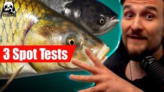 Russian Fishing 4 - Achtuba - 3 Spots im Test, Wildkarpfe, Marmorkarpfen, Sterlet, Kutum?