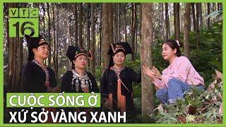 Khám phá cuộc sống ở xứ sở vàng xanh đất Yên Bái | VTC16