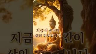 《지금 이 순간이 삶이 전부입니다》 마음의 평화를 되찾는 연습 | 마음이 괴로울 때 #마음챙김 #부처님말씀 #명상 #내려놓음 #마음공부 #부처님명언