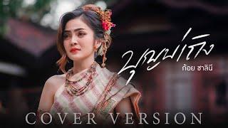 บุญบ่เถิง - ก้อย ชาลินี【COVER VERSION】