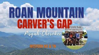 The MAJESTIC of Roan Mountain at Carver's Gap–Where North Carolina Meets Tennessee! | 2024 |