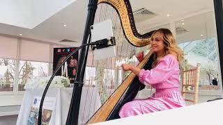 Always Remember Us This Way- Lady Gaga- Harp cover