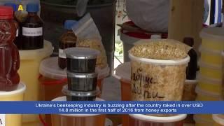 Honey | Innovation Ukraine