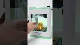 What are you printing with a 3D printer today?#3dprinting #entina #tina2plus