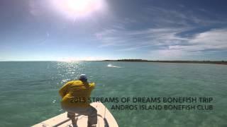 Marty Lands Tarpon on 2015 Streams of Dreams Bonefish Trip with Guide Shawn Leadon