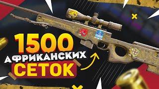 КУПИЛ 1500 AWP | Африканская Сетка в КС 2. Попалось ДОРОГОЕ КОМБО НАКЛЕЕК из KATOWICE и РЕДКИЙ ФЛОАТ