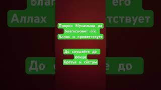 Пророк Мухаммад да благословит его Аллах и приветствует | #quran #коран #rek #напоминание #сабр