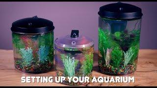 How to Set Up Your FRESHWATER AQUARIUM - 1.5-Gallon, 2-Gallon, and 3-Gallon