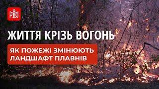 Пожежі на берегах Каховського водосховища, як люди і вогонь змінюють ландшафти