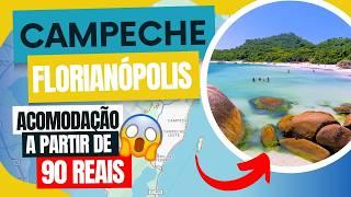 Onde ficar em Florianopolis? Campeche  - Conheça o Bairro - Melhores dicas 2024