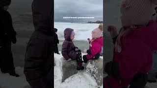 #частнаяшкола #школа #преимущества #shorts #новосибирск