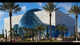 The Dali Museum: An Unparalleled Experience