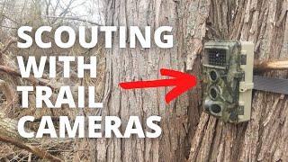 How I See More Bucks With My Trail Cams