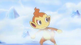 Pokemon: Chimchar vs Snover